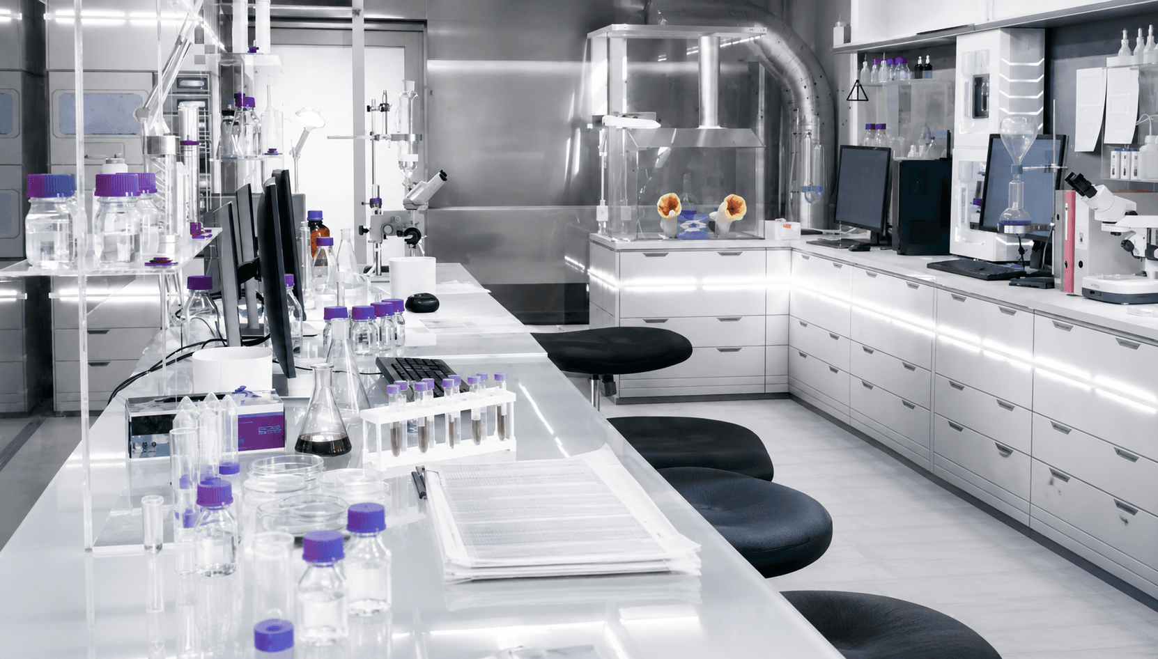 Lab